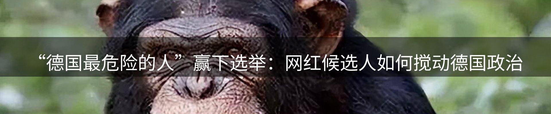 热点解析
