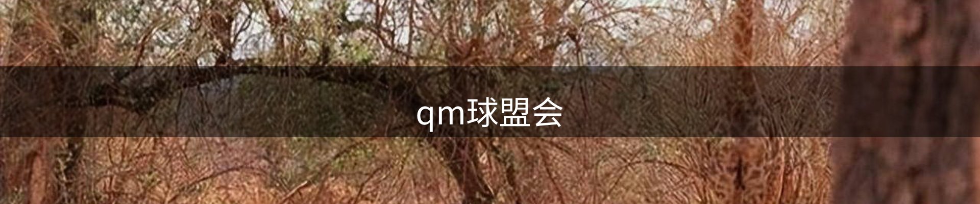 球盟会·qmh(中国)-官方网站